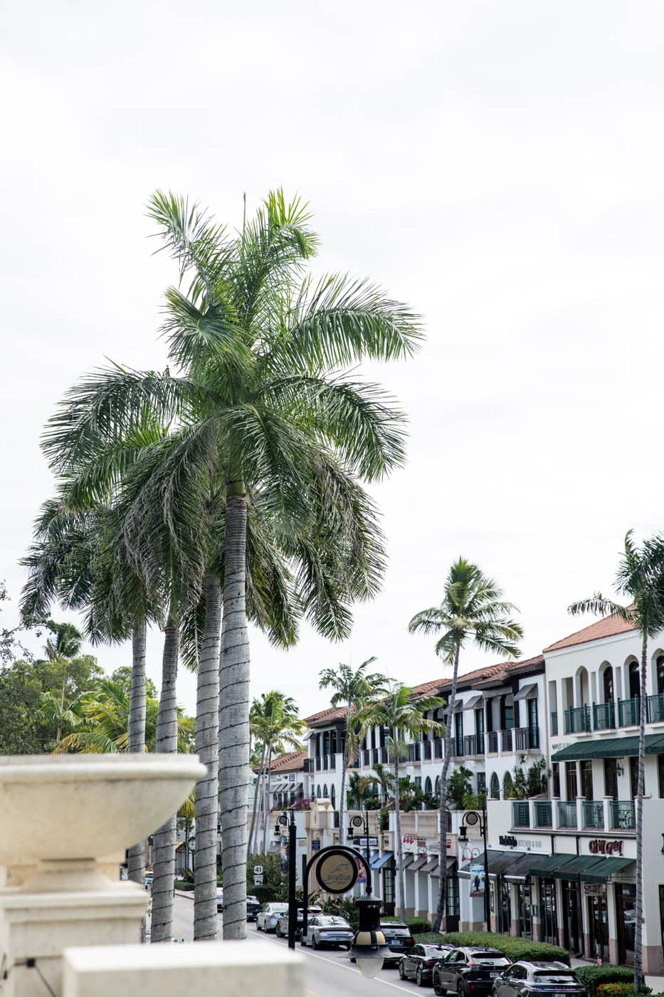 The exterior of IOF with palm trees lining the street