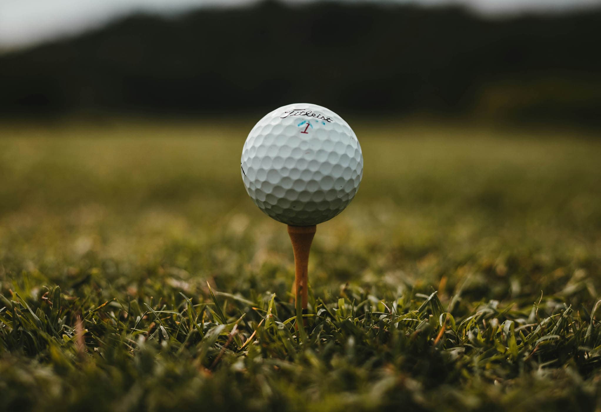 Golf ball on a tee at a championship golf course in Naples, Florida