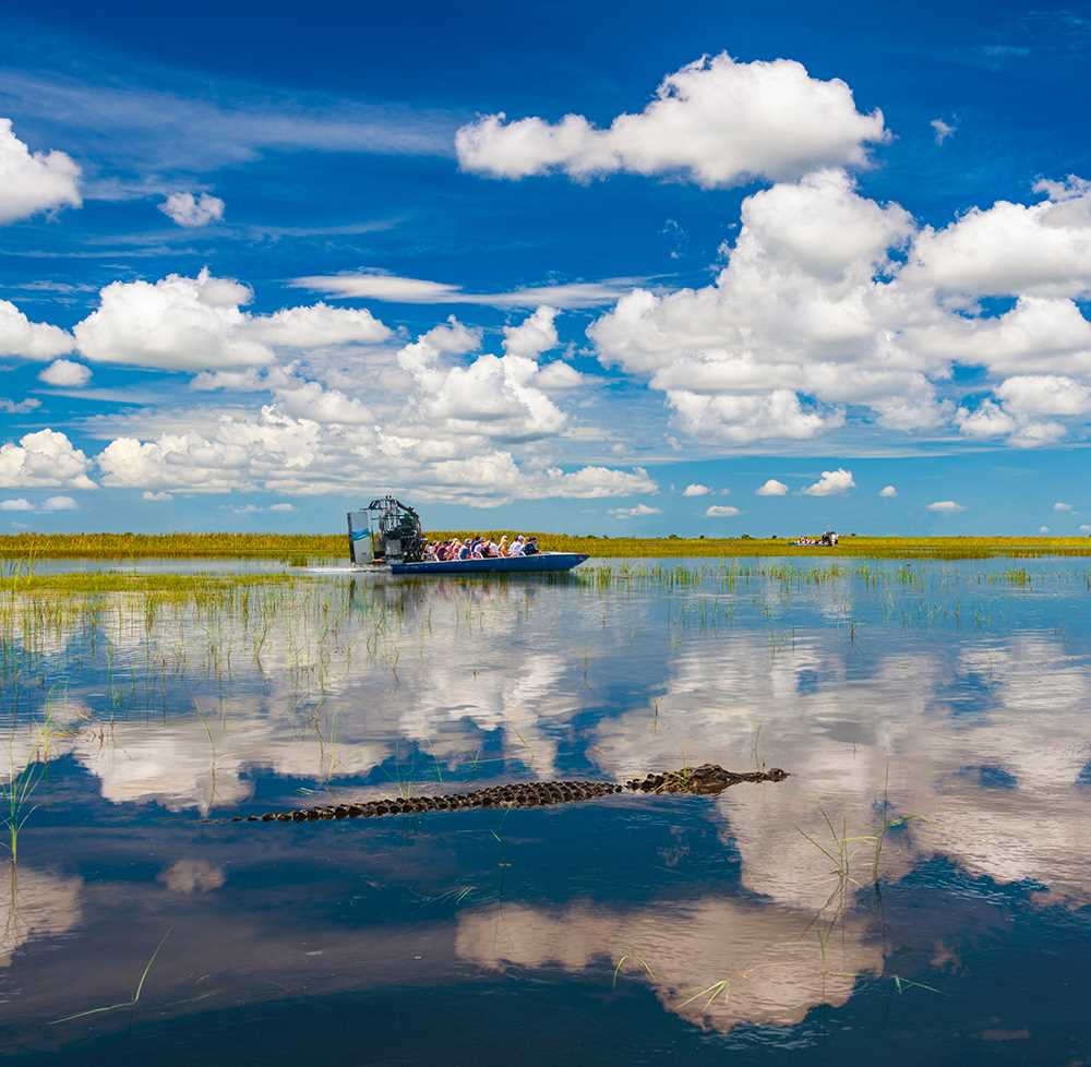 Airboat Florida Everglades