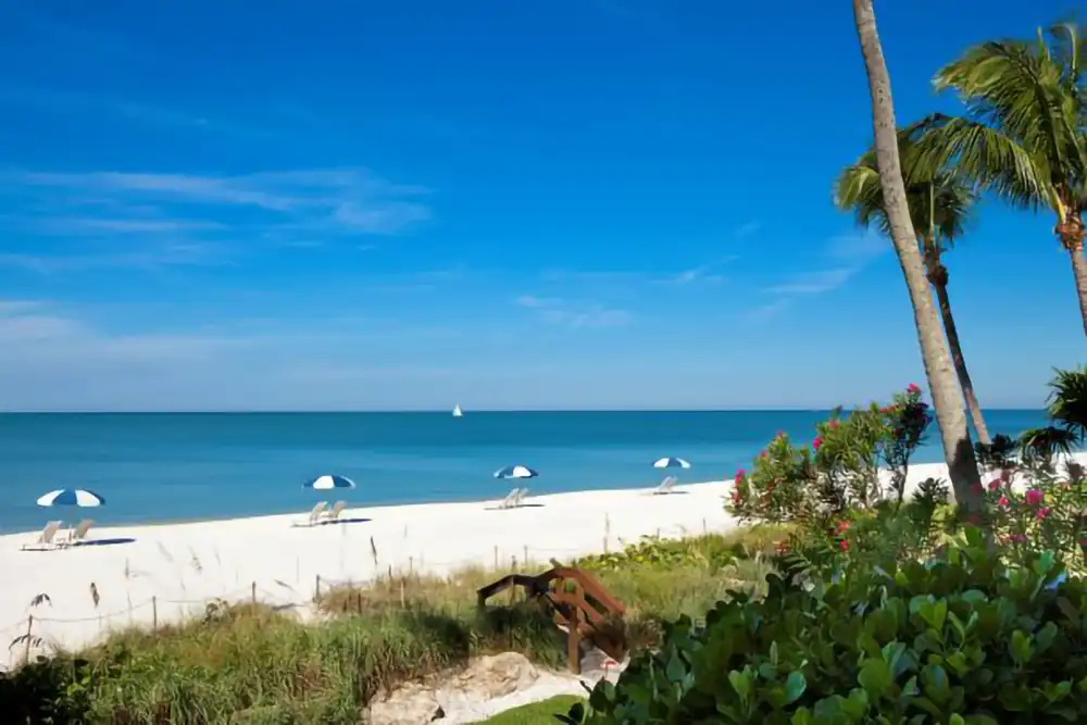 beach view